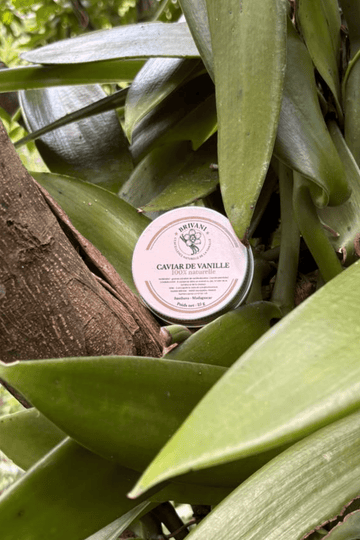 Caviar de Vanille - Ma boutique